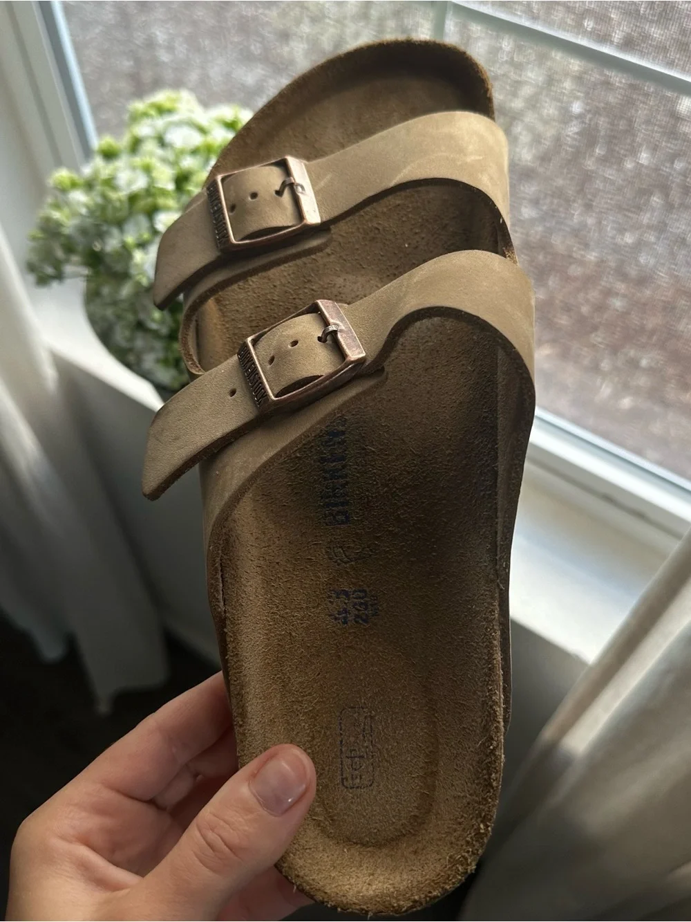 Birkenstock Men's Arizona Suede Sandals in Taupe